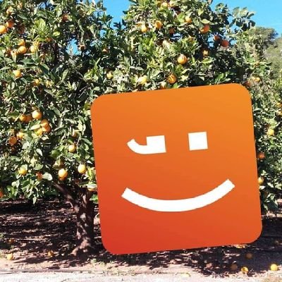 Col·lectiu comarcal de @compromis de la Safor-Valldigna