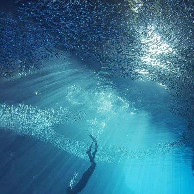 hubert010727's profile picture. 