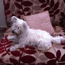 Sue Parry - @suenige - Twitter