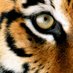Johnn2 (@johnn254368872) Twitter profile photo Johnn2 (@johnn254368872) Twitter profile photo