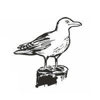 Rostocker Regionale Rundschau (@rostocker_rr) 's Twitter Profile