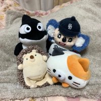 みきてぃ(*´˘`*)♡ (@mikity0903) 's Twitter Profile