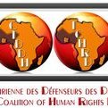 La CIDDH est un regroupement d'ONG de promotion et de défense des Droits de l'Homme avec pour mission de répondre à la problématique de sécurisation des DDH.