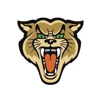 Osborn Wildcats (@osbornwildcats) 's Twitter Profile