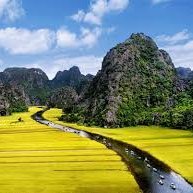 ngo hoang minh (@ngohoangminh14) 's Twitter Profile