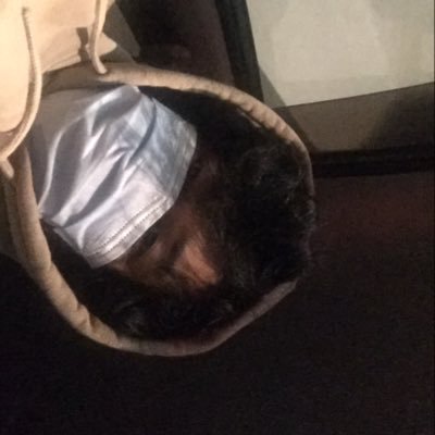 madrafid's profile picture. 