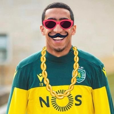 PeteThaAlcino's profile picture. RN 🏥👨‍⚕️🇵🇹🇬🇧
Sporting 💚⚪
Bairrada 🐖🍾