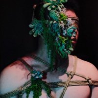 言午Buu (@yanwubuu) 's Twitter Profile