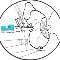 Urología H Clínico de Valencia(@UrologiaHCUV) 's Twitter Profile Photo