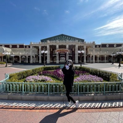 み ん と す🐰⏳