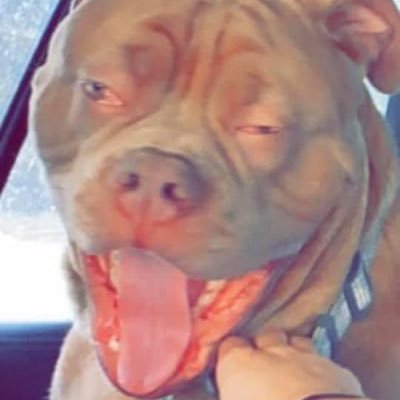 phoenypoo23's profile picture. Bada Bing Bada Boom