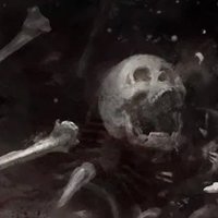 griddlehark bot (@griddleharkbot) 's Twitter Profile
