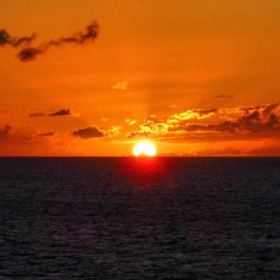 2oast's profile picture. "The servants of the Lord of Mercy are those who walk humbly on the earth, and who, when the foolish address them, reply, Peace.”  Quran 25:63  ⌐◨-◨