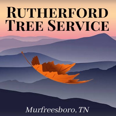 Rutherford Tree Service Murfreesboro
2329 New Salem Highway, Murfreesboro, TN 37128
(615) 266-0064