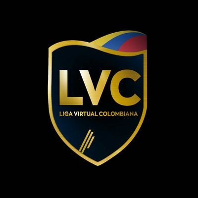 Somos la Liga Colombiana Virtual Oficial y hacemos parte de @VPNGlobal @iFVPA la comunidad más grande y antigua de Clubes pro en el mundo