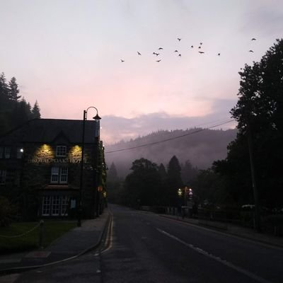 IAmLau3D's profile picture. Indie gamedev / 3D Artist