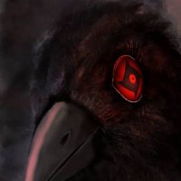 Koothrapali (@koothrapali4) 's Twitter Profile