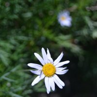 Vereena Bishoy (@vereena_bishoy) 's Twitter Profile