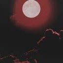 Maksut27668037's profile picture. Лес, озеро,....