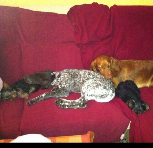 parisypoker's profile picture. Dejame soñar..