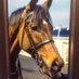 Michael Herrington Racing (@herringtonrace) Twitter profile photo Michael Herrington Racing (@herringtonrace) Twitter profile photo