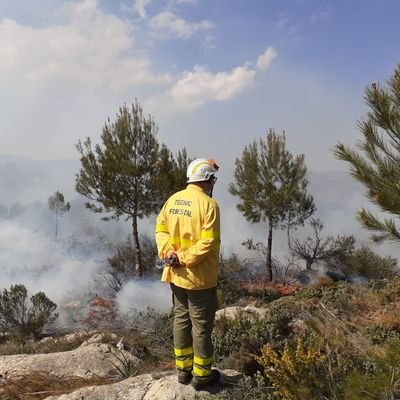 escurios_13's profile picture. Enginyer tècnic forestal.