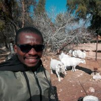 Joe Kaseke (@joek98455868) 's Twitter Profile