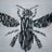 ArtandDesignAboyneAcademy's Twitter avatar