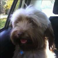 momwithnoname's profile picture. 