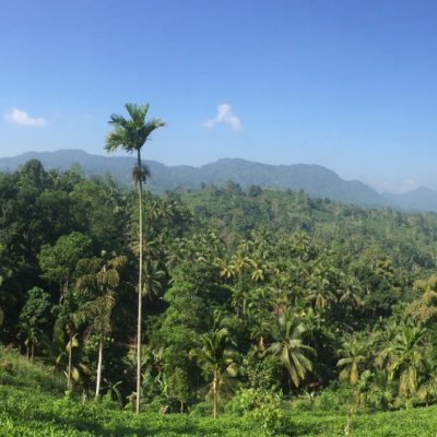 nichts_als's profile picture. 