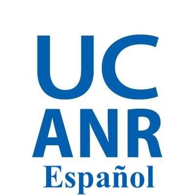 ucanrespanol Profile Picture