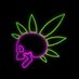 WeedPunkz (@weedpunkz) Twitter profile photo WeedPunkz (@weedpunkz) Twitter profile photo