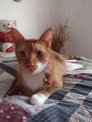 ivetterivera941's profile picture. 