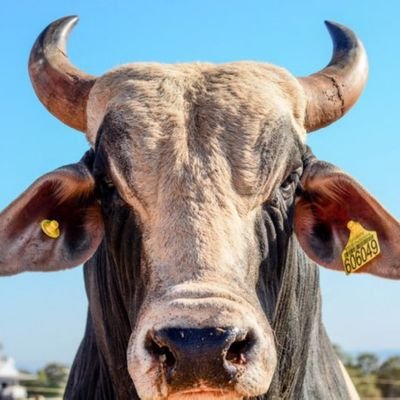 GadosTt's profile picture. 