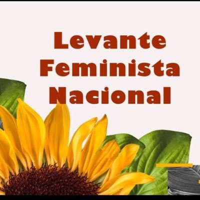 Campanha nacional e contínua de enfrentamento à escalada do feminicídio no Brasil. Ações nas redes, nas ruas e junto às instituições. Nem pense em me matar!