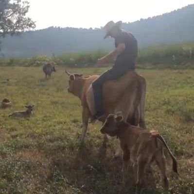 paideuein's profile picture. 