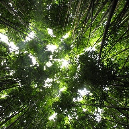 SocialMediaGrn's profile picture. Developed & Managed by  href=http://t.co/cuRZsyEo7G •  HREF=mailto:SocialMediaGrn@gmail.com?subject=SocialMediaGrn@gm