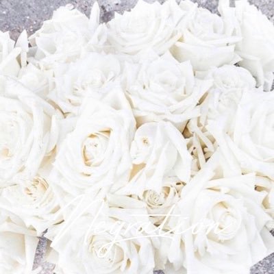 NyuntDanny's profile picture. 