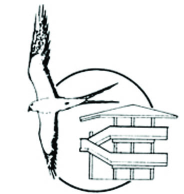 CMNCSarasota's profile picture. Where southwest Florida history and nature meet!