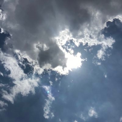 Sasr_ys730's profile picture. 文学部2年 図書館 • 情報学専攻