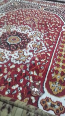 Learnword1's profile picture. كن هادئاً. وتعلم شيئاً جديدا دائمآ.