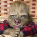WerePups (@werepups) Twitter profile photo WerePups (@werepups) Twitter profile photo