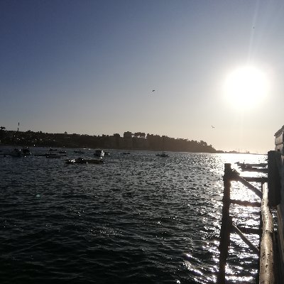 petermansolo's profile picture. chileno