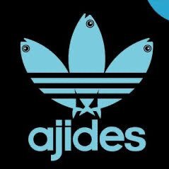 Nao_yama9's profile picture. 猫好き/STEPN/サッカー観戦/釈迦家/ホロ/雨の日も風の日も毎日ステップン。いろんなジャンルのリポスト多いのでオフ推奨です。