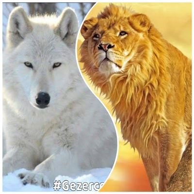 Cesur_Nefer's profile picture. TEK VATAN GRUPLARI 
DİN, VATAN, MİLLET