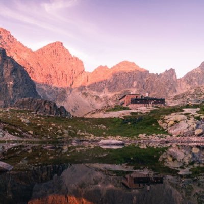 zhuzhixin1's profile picture. 