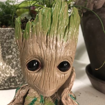 I can’t breathe anymore, so that must mean it’s spring🌸🌷🪴!!! my obsession with plants will only get worse from here... I am the plant gay🏳️🌈. (He/Him)