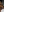 amy wolf - @amyrwolf - Twitter