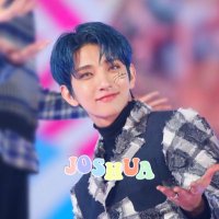 ジョシュアの嫁になりたい (@svt_shushua) Twitter profile photo