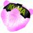 KuMAofficialCir's profile image